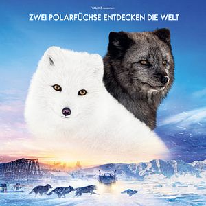 Bilder Die Abenteuer von Kina & Yuk