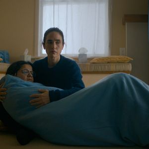 Bilder Bad Behaviour