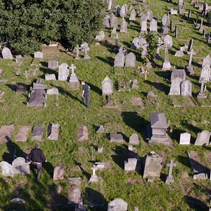 Bilder Friendly Fire - Erich Fried