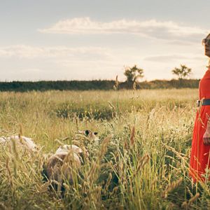 Bilder More Than Strangers