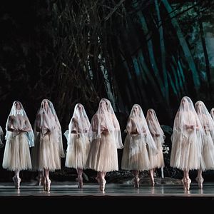 Bilder Royal Ballet & Opera: Giselle