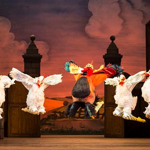 Bilder Royal Ballet & Opera: La Fille Mal Gardée