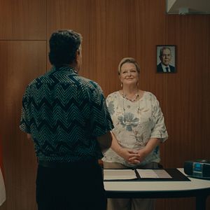 Bilder Noch lange keine Lipizzaner