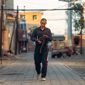 Bilder Black Dog - Weggefährten