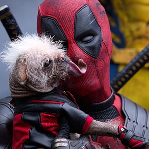 Bilder Deadpool & Wolverine