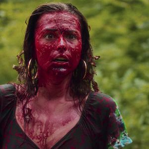 Bilder Monster On A Plane