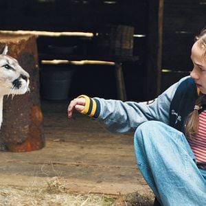 Bilder Woodwalkers 2