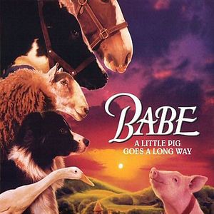 Bilder Ein Schweinchen namens Babe