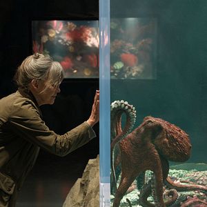 Bilder Das Glück hat acht Arme