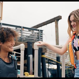 Bilder Flycatcher - Survival Has Its Price