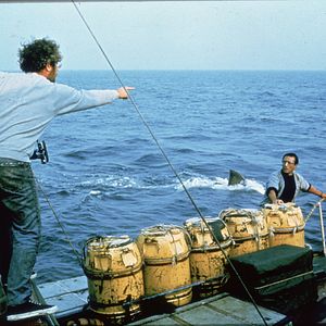 Bilder Der weiße Hai