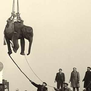 Bilder Soundtrack To A Coup D'État