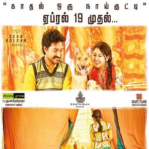 Bilder Mehandi Circus