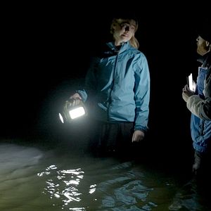 Bilder Tide - Gefahr aus der Tiefe