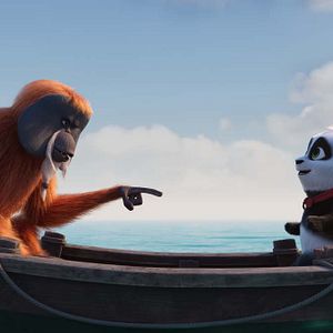 Bilder Der kleine Panda in Afrika