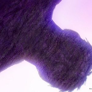 Bilder Miss Kobayashi's Dragon Maid: Ein einsamer Drache sehnt sich nach Liebe