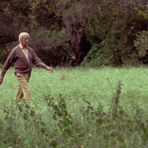 Bilder Krishnamurti, die Revolution der Stille