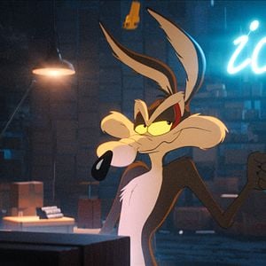 Bilder Coyote vs Acme