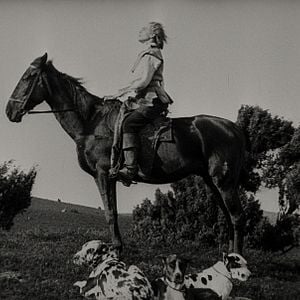 Bilder Zur Chronik von Grieshuus