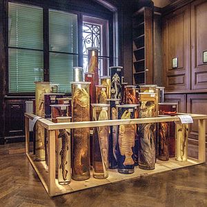 Bilder Archiv der Zukunft