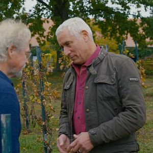 Bilder Überleben in Brandenburg