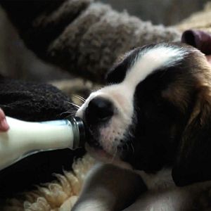 Bilder Mein Freund Barry