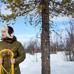 Bilder Das Leuchten der Rentiere