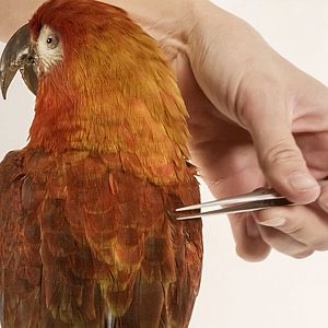 Bilder Archiv der Zukunft