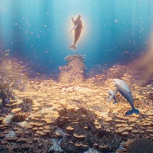 Bilder Der letzte Walsänger