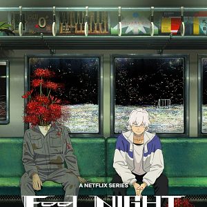 Bilder Fool Night