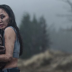 Bilder Alma und der Wolf