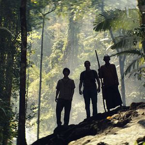 Bilder The Green Deal