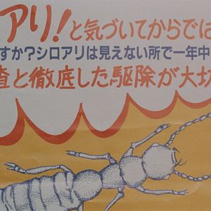 Bilder Die Familie mit dem umgekehrten Düsenantrieb - Crazy Family