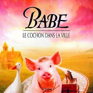 Bilder Schweinchen Babe in der großen Stadt