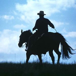 Bilder Robert Redford