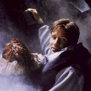 Bilder David Duchovny