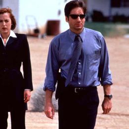 Bilder David Duchovny