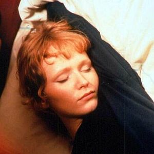 Bilder Die Rückkehr des Idioten