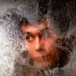 Bilder Die Rückkehr des Idioten