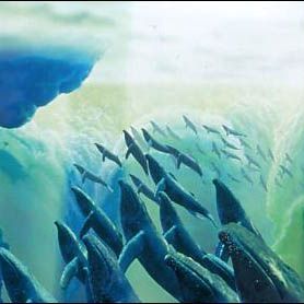 Bilder Fantasia 2000