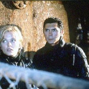 Bilder Bats - Fliegende Teufel