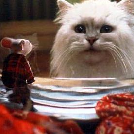 Bilder Stuart Little