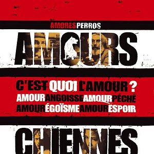 Bilder Amores perros