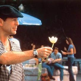 Bilder Keine halben Sachen