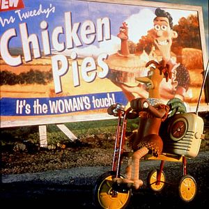 Bilder Chicken Run - Hennen Rennen