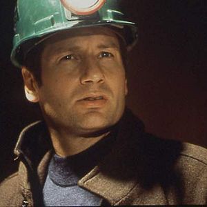 Bilder David Duchovny