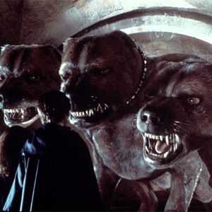 Bilder Harry Potter und der Stein der Weisen