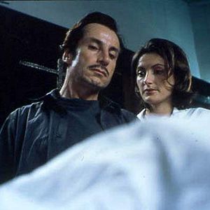 Bilder Gérald Laroche