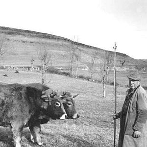 Bilder Raymond Depardon