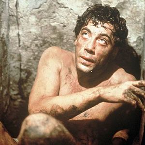 Bilder Bevor es Nacht wird